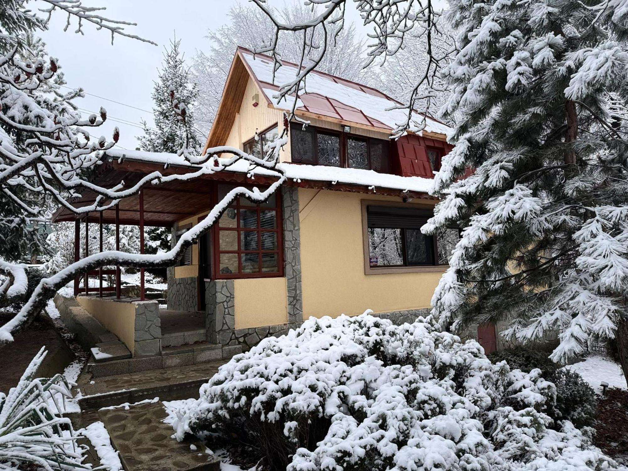 Cabana Din Padurea Valeni Valenii de Munte Bagian luar foto