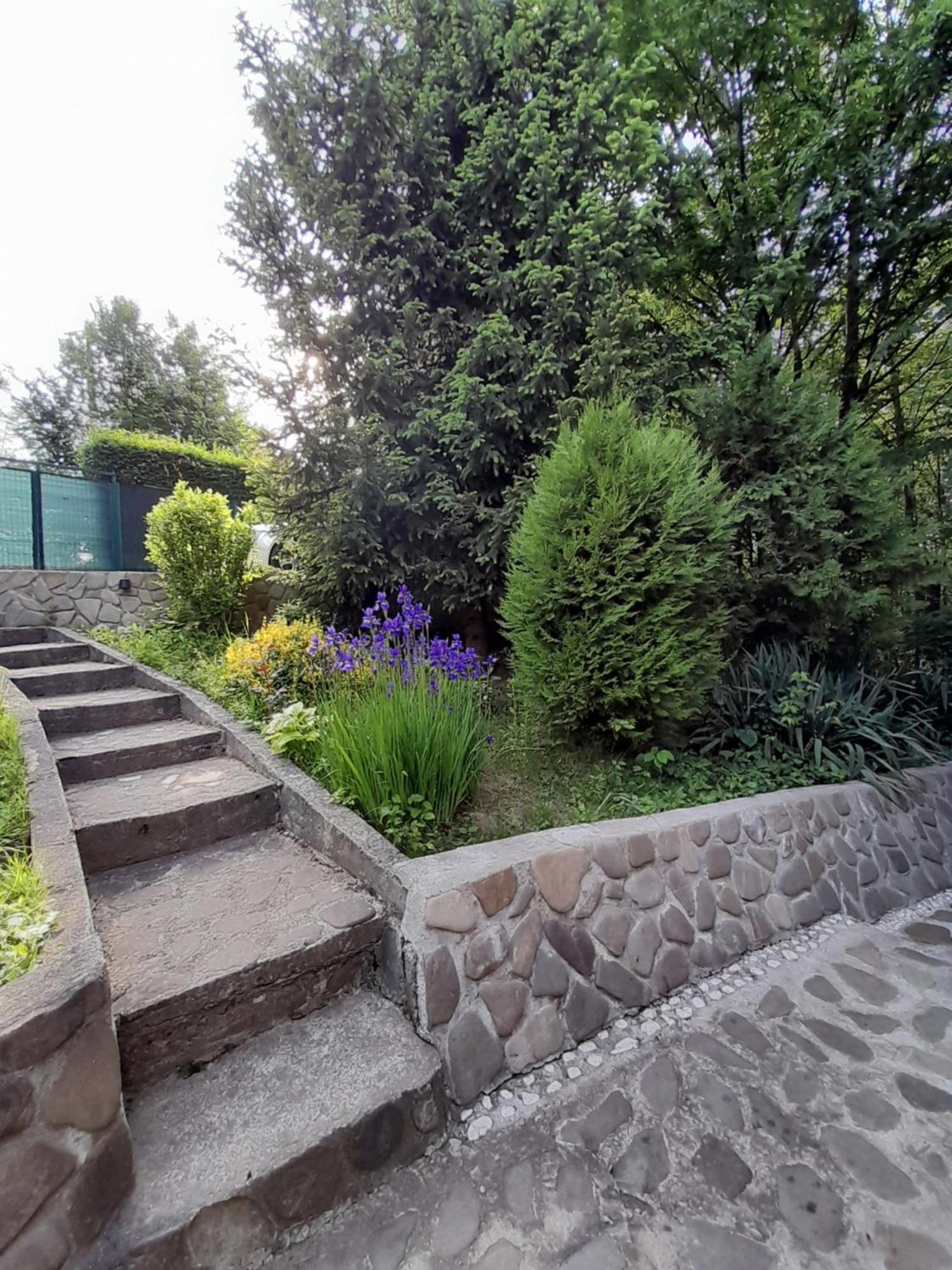 Cabana Din Padurea Valeni Valenii de Munte Bagian luar foto