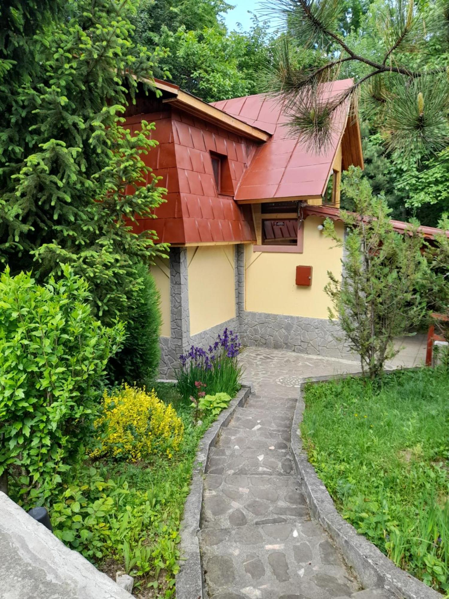 Cabana Din Padurea Valeni Valenii de Munte Bagian luar foto
